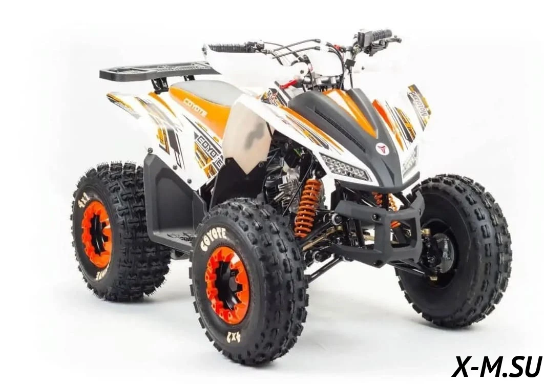 Квадроцикл TAO MOTORS COYOTE 125 cc (RIVAL) Квадроцикл TAO MOTORS COYOTE 125 cc (RIVAL)