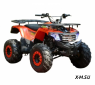 Квадроцикл WELS THUNDER AX125