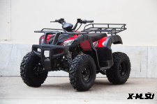 Квадроцикл UNIVERSAL Avenger JR 150