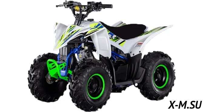 Квадроцикл Mikilon Rapide 110 (без АКБ)