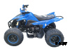 Квадроцикл (ATV) серия 6, SPORTY 250	