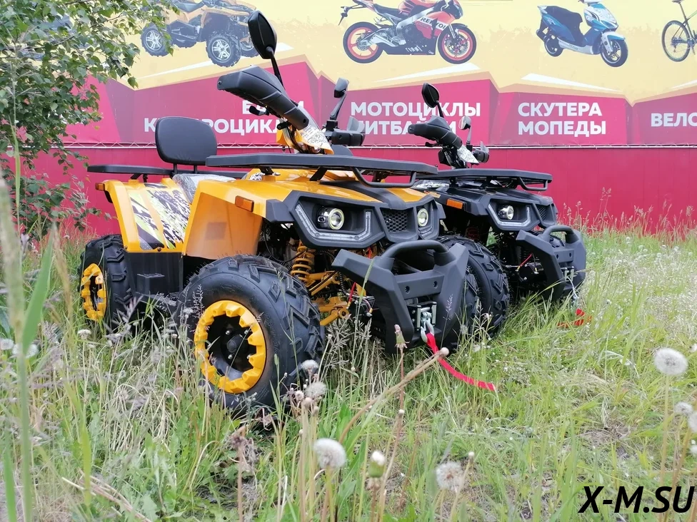 Promax storm 300сс. Квадроцикл Промакс шторм 300. Квадроцикл Promax Storm 300cc. Promax Storm 300сс Lux. Промах шторм 300 Люкс квадроцикл.