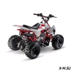 Квадроцикл ACCESS AMS 110 MINISPORT
